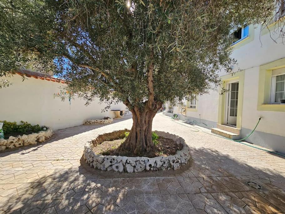 הוילה Fuentiduena de Tajo La Casa Del Arbol מראה חיצוני תמונה