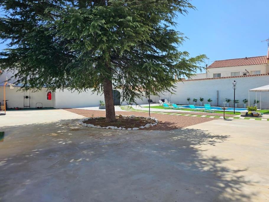 הוילה Fuentiduena de Tajo La Casa Del Arbol מראה חיצוני תמונה